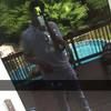 brianfitz_